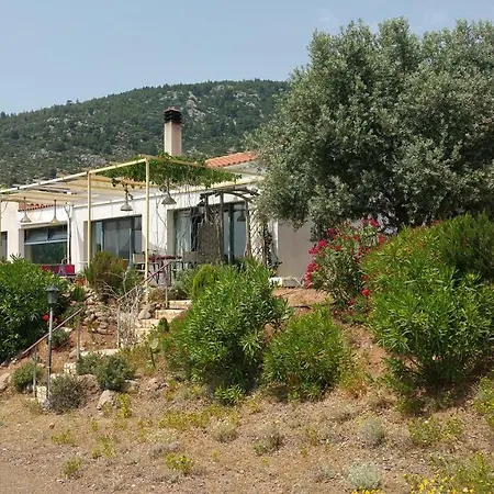 With View Villa Politika