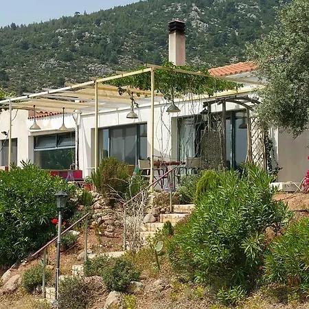 Villa With View Politika