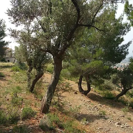 Villa With View Politika