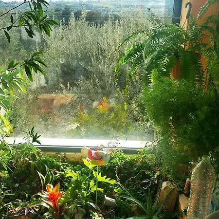 Villa With View