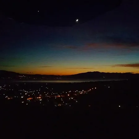 With View Politika