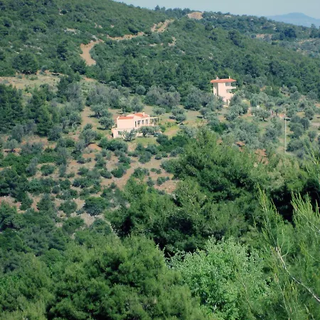 With View * Politika