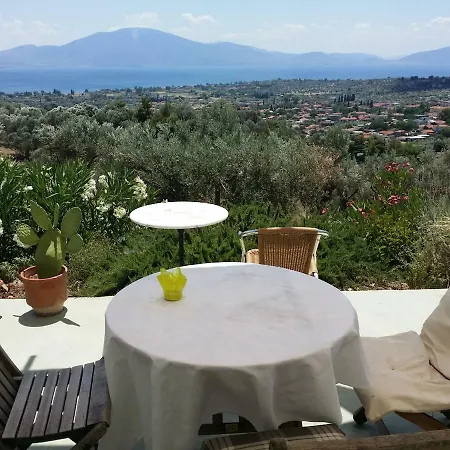 With View Politika