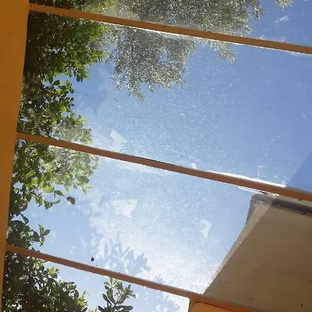 With View *