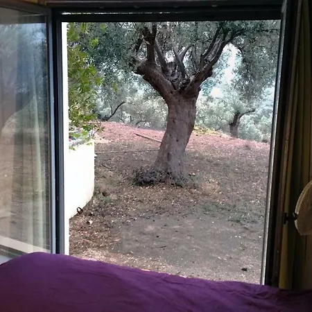 With View Villa *